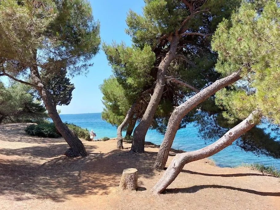 My Place - 1 Minuto Dal Mare Pula Apartment